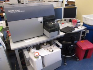 BD FACSCanto RUO Special Order System