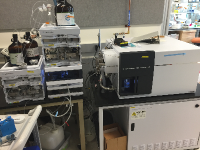 Agilent 6490 Triple Quad LC/MS