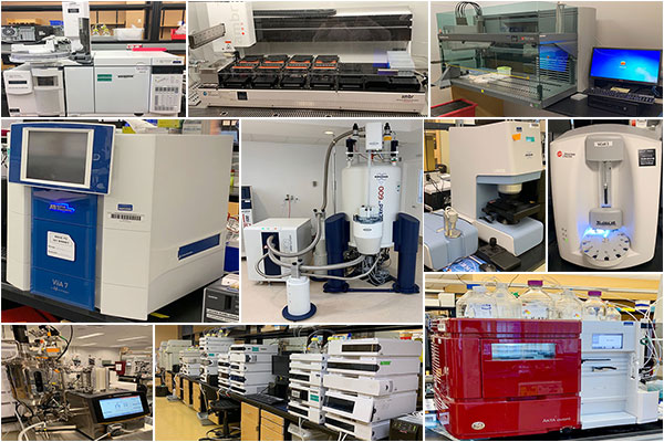 Gallery-of-Images---Momenta-V3